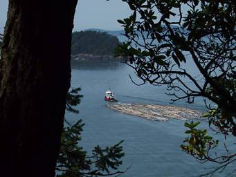 Tug pulling log boom