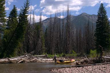 Float down the S. Fork Flathead River