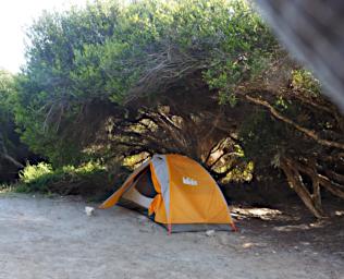 Fitzgerald NP Camp Tent