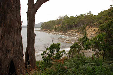 Bruny Island