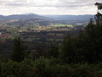 Tasman Countryside