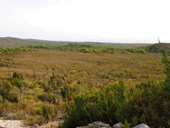 High Plains