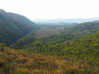 Plain below Donaghy's Hill