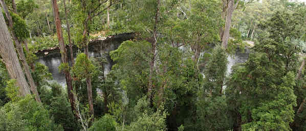 Huon River from Airwalk