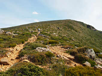 Heading towards False Summit