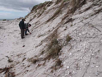 Dona and Frapps examine an Aboriginal Midden