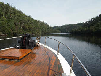 Arcadia II Windlass