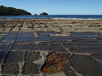 Tessellated Rocks