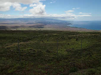 Dry Kohala West Coast