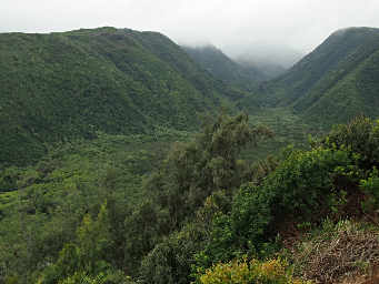 Pololu Valley