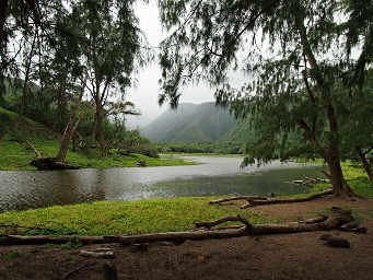 Pololu Valley