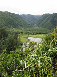 Pololu valley
