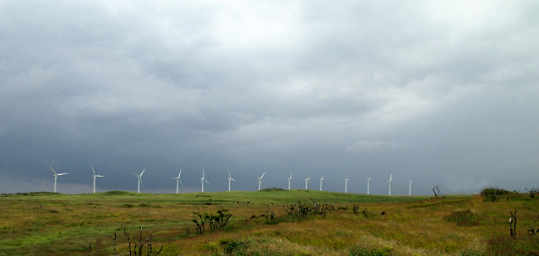 Wind Farm