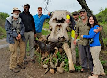 Tarangire Group at Elephant Skull